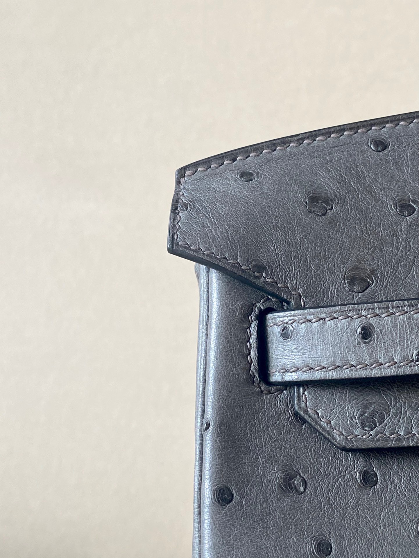 Ostrich skin #82 Gris Agathe 25-35cm