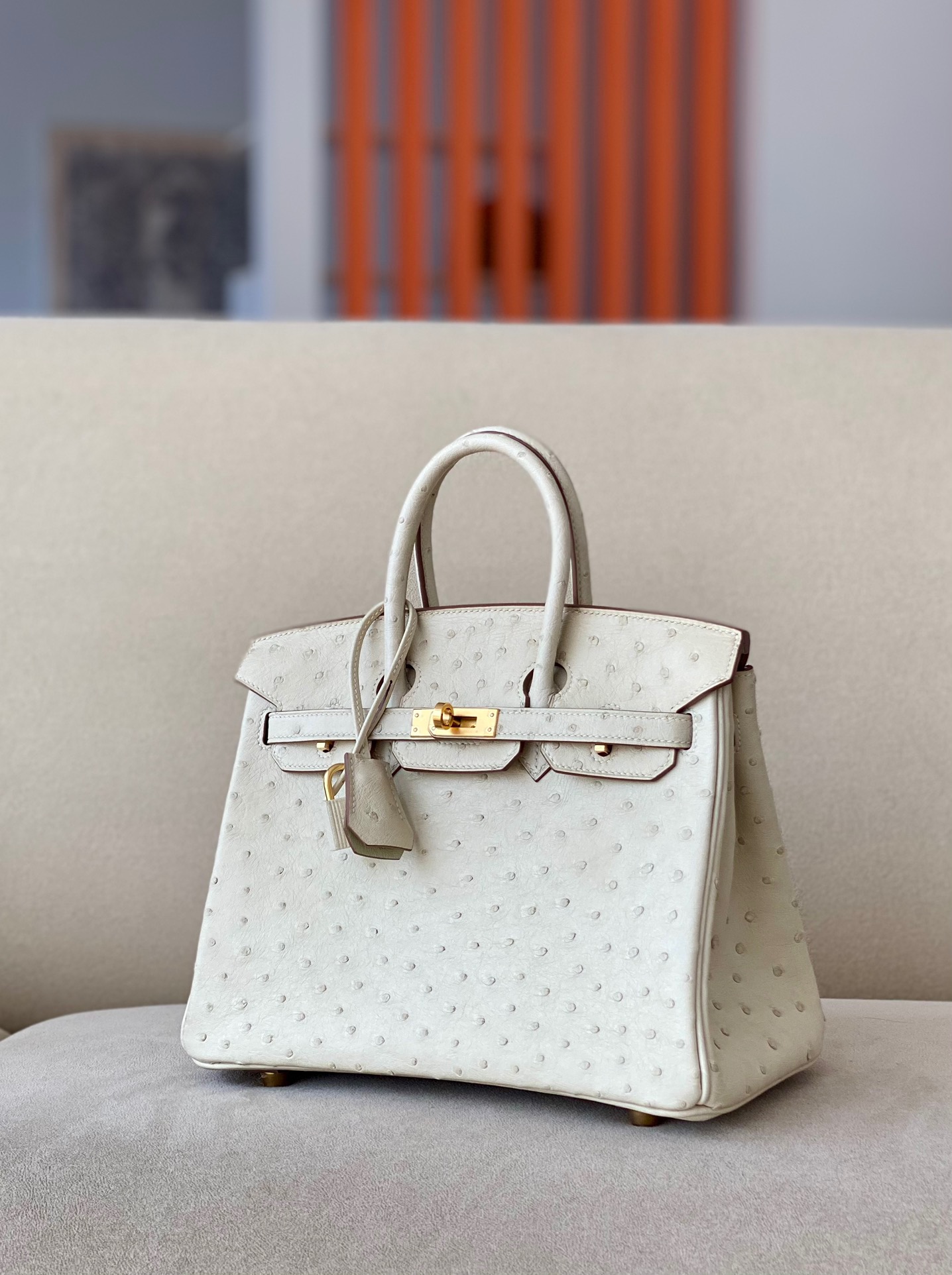 Advanced customization Birkin 25-30