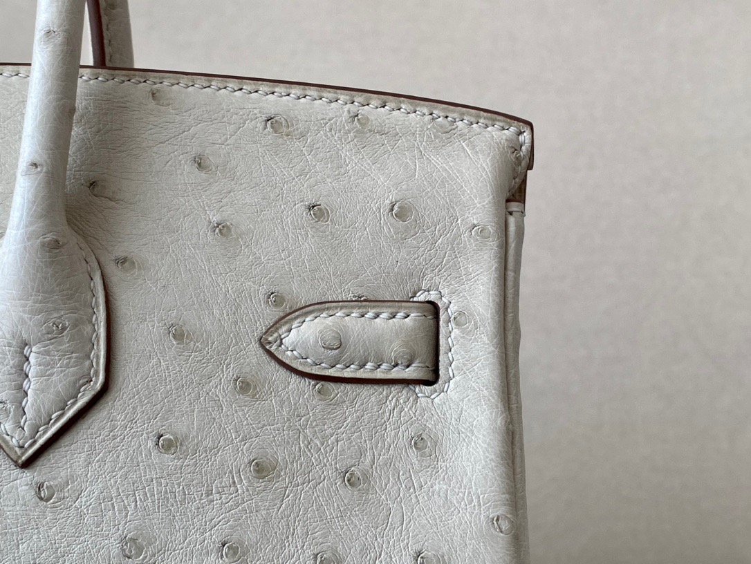 Advanced customization Birkin 25-30