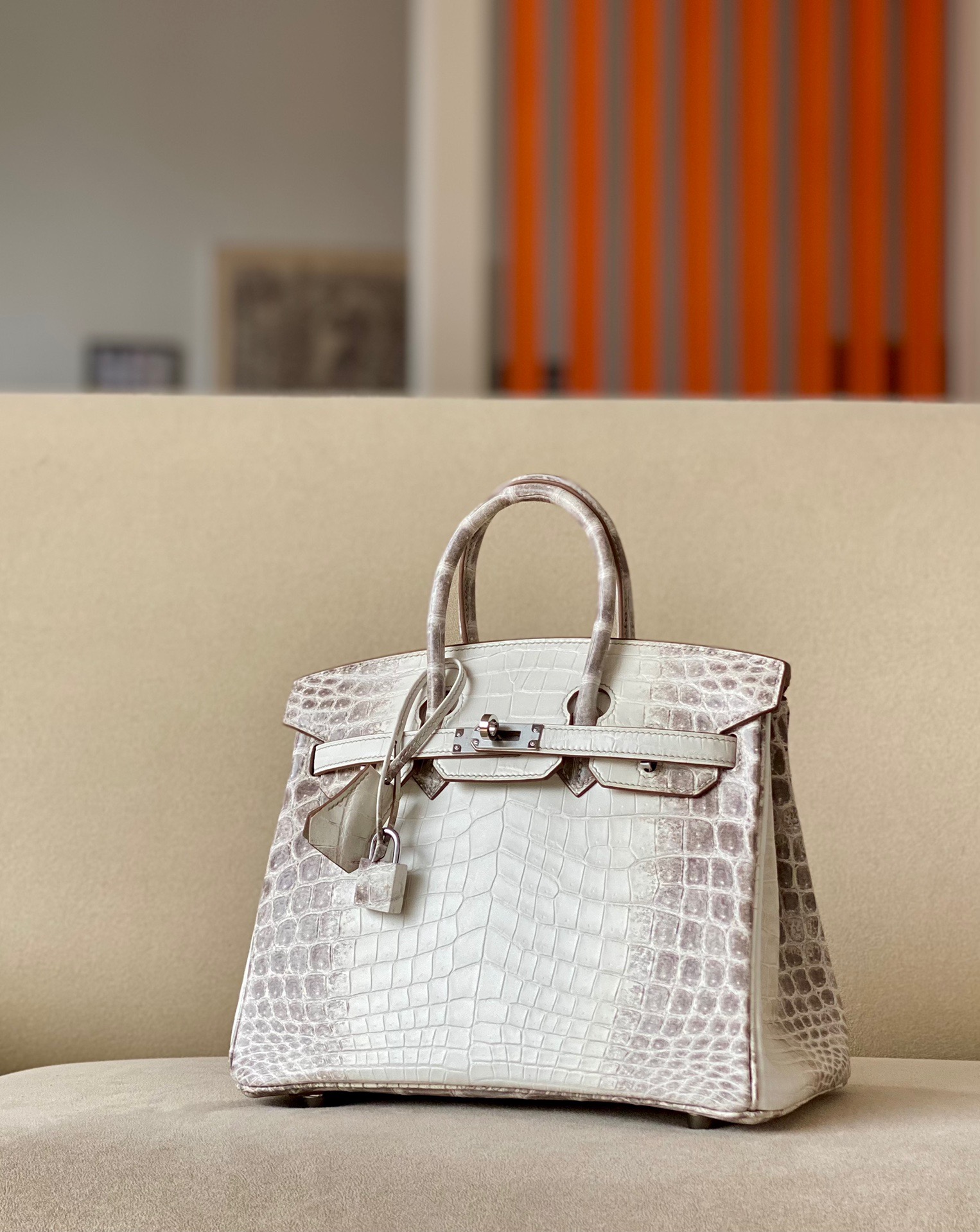 Crocodile skin Birkin Himalayan 25-35cm