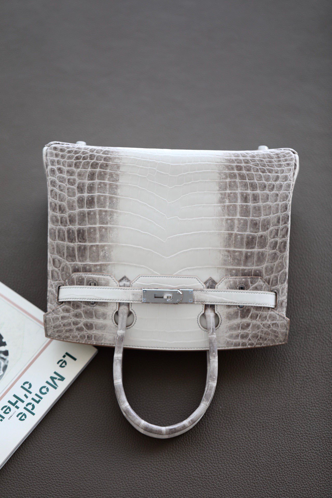 Crocodile skin Birkin Himalayan 25-35cm