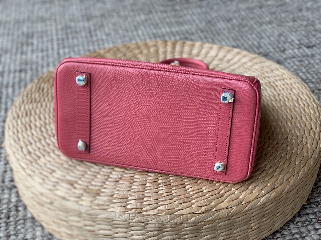 Hermes customization Birkin 25 Lizard