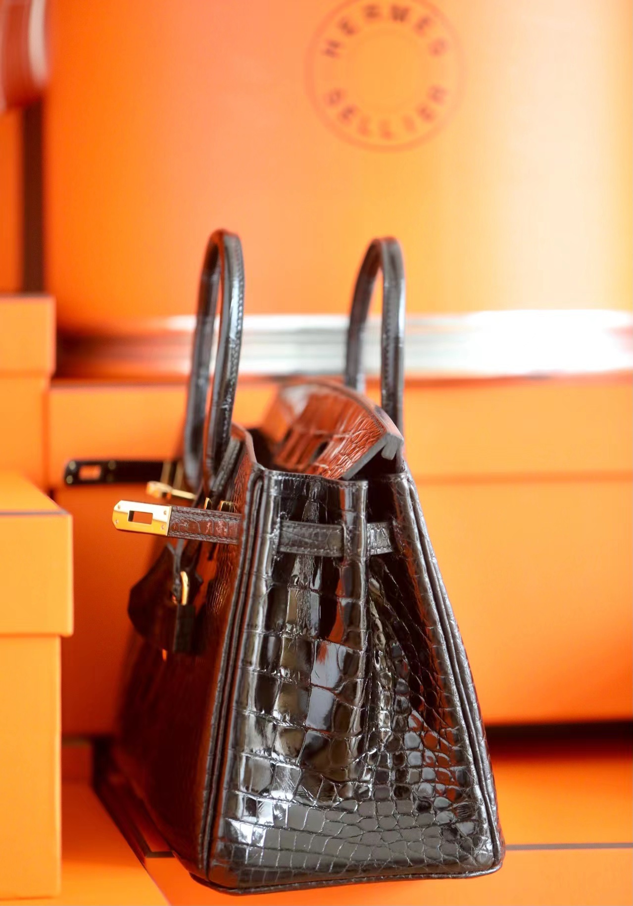 Crocodile skin Birkin #89 Nolr 25-28cm