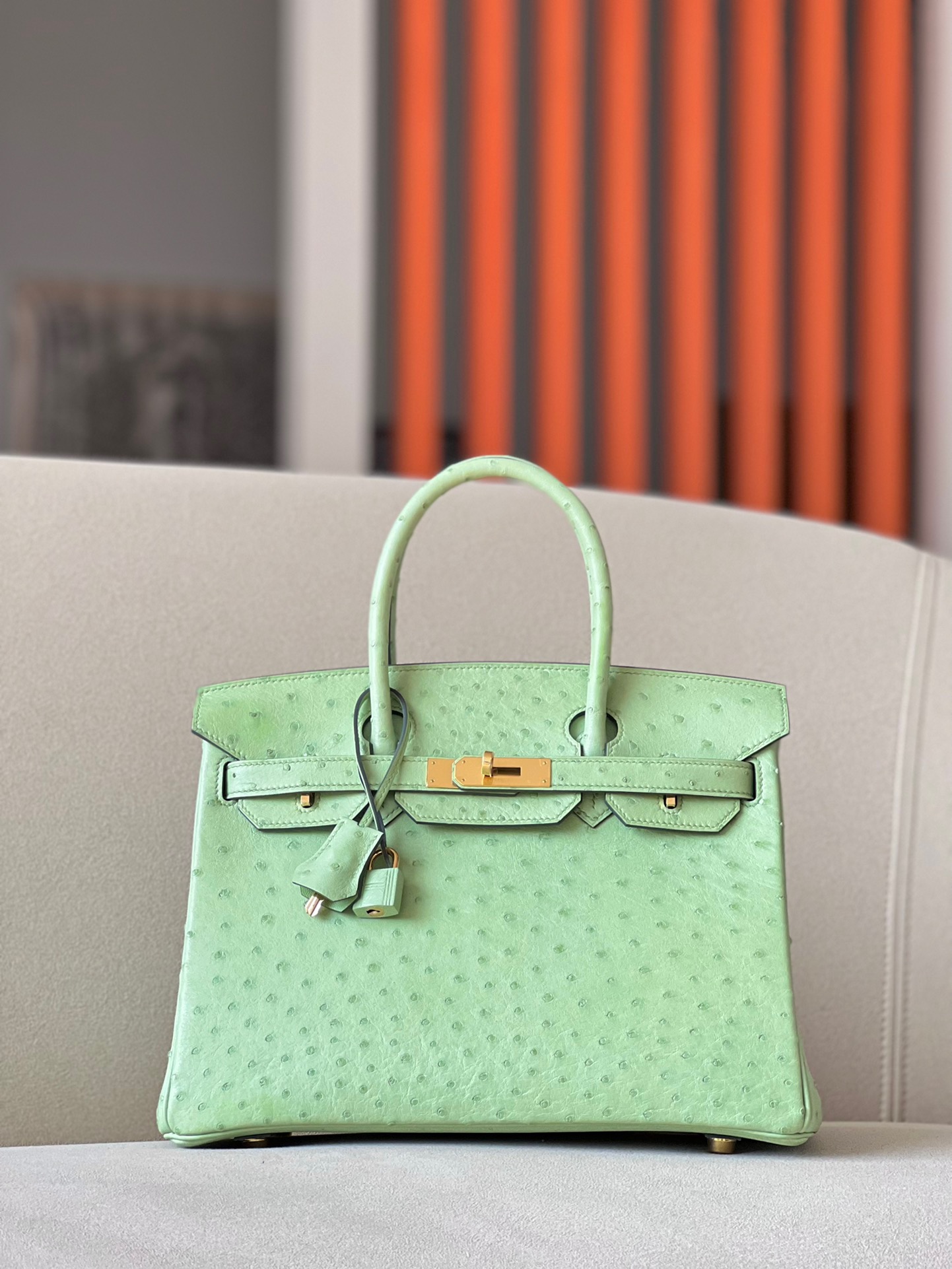 Ostrich skin #31 Vert Criquet  Birkin 25-35cm