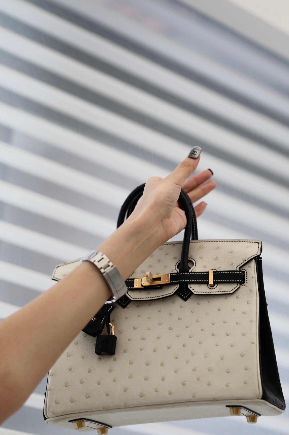 Ostrich skin Panda color Birkin 25-35cm