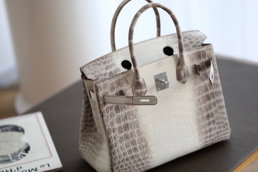 Crocodile skin Birkin Himalayan 25-35cm