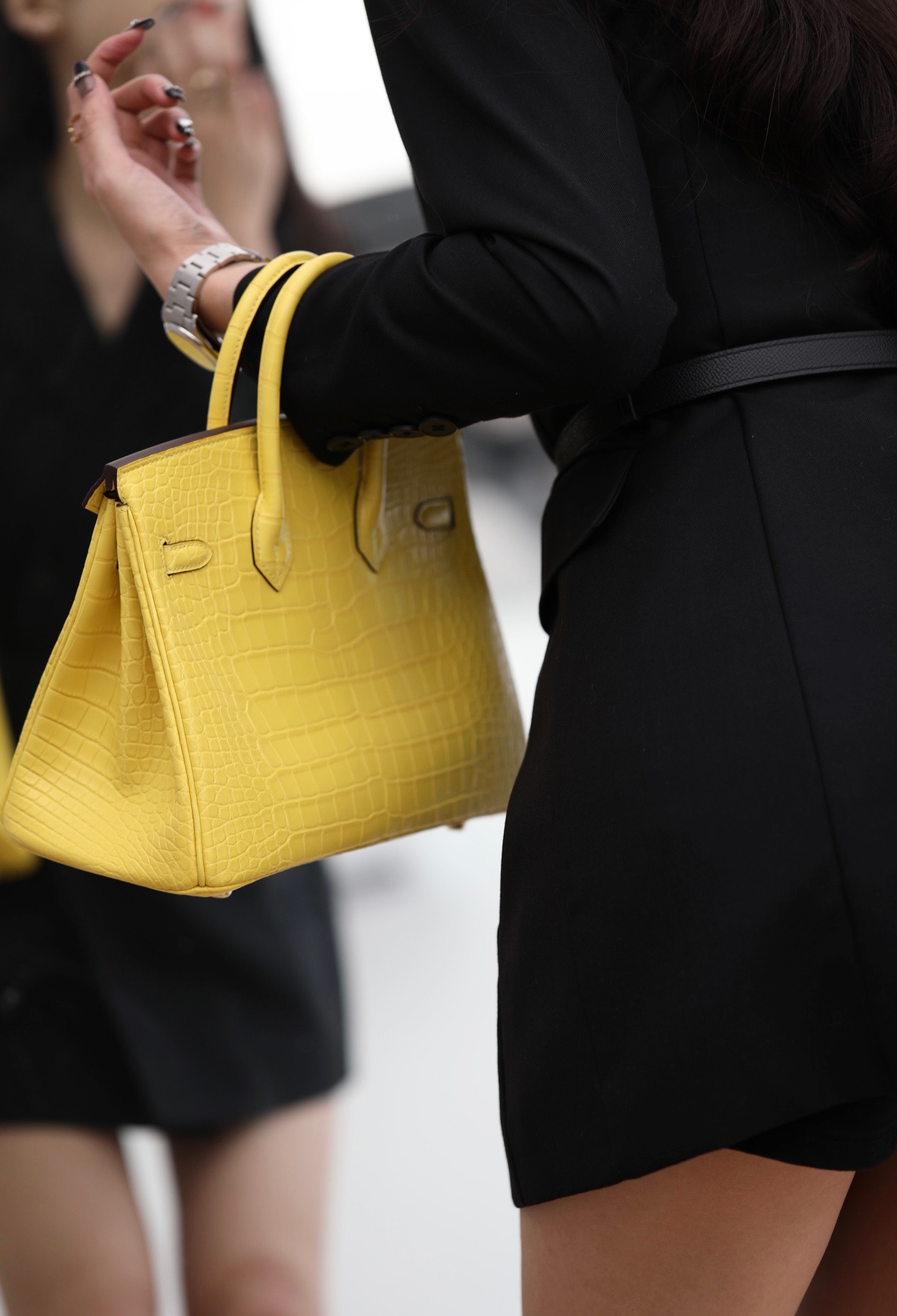 Crocodile leather #M9 Mimosa  Birkin 25-3cm