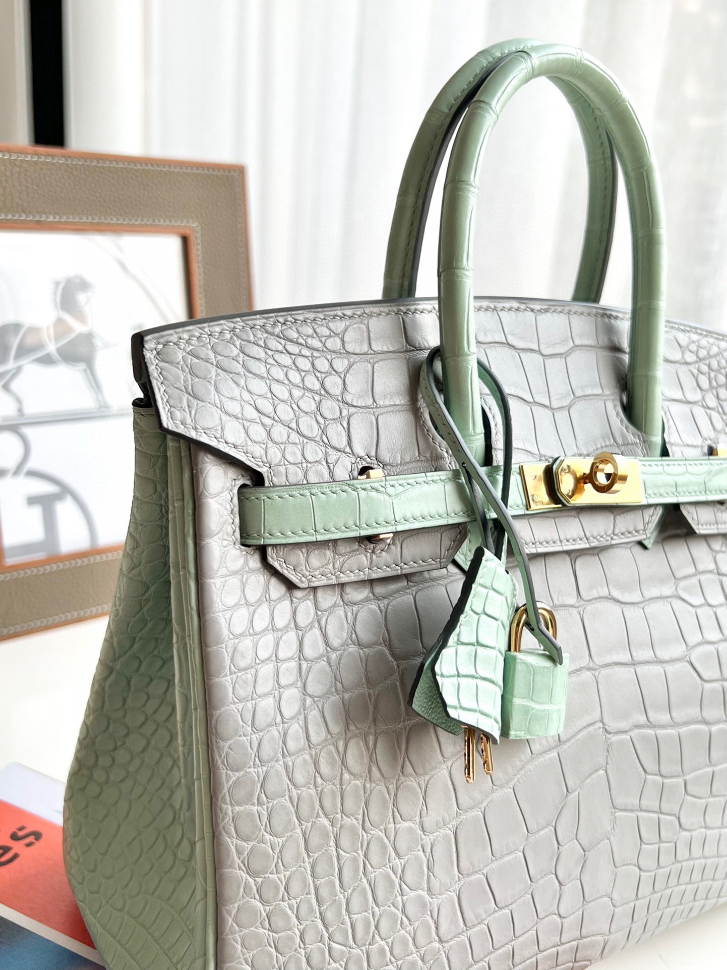 Crocodile leathercolor blocking Birkin 25-35cm