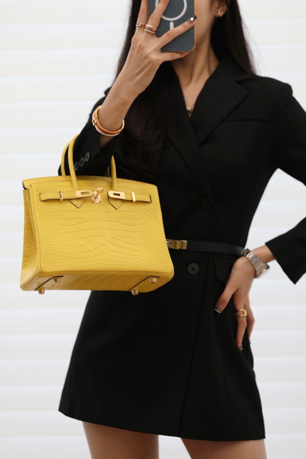 Crocodile leather #M9 Mimosa  Birkin 25-3cm