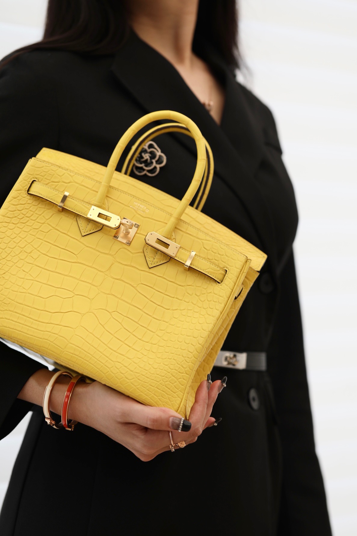 Crocodile leather #M9 Mimosa  Birkin 25-3cm