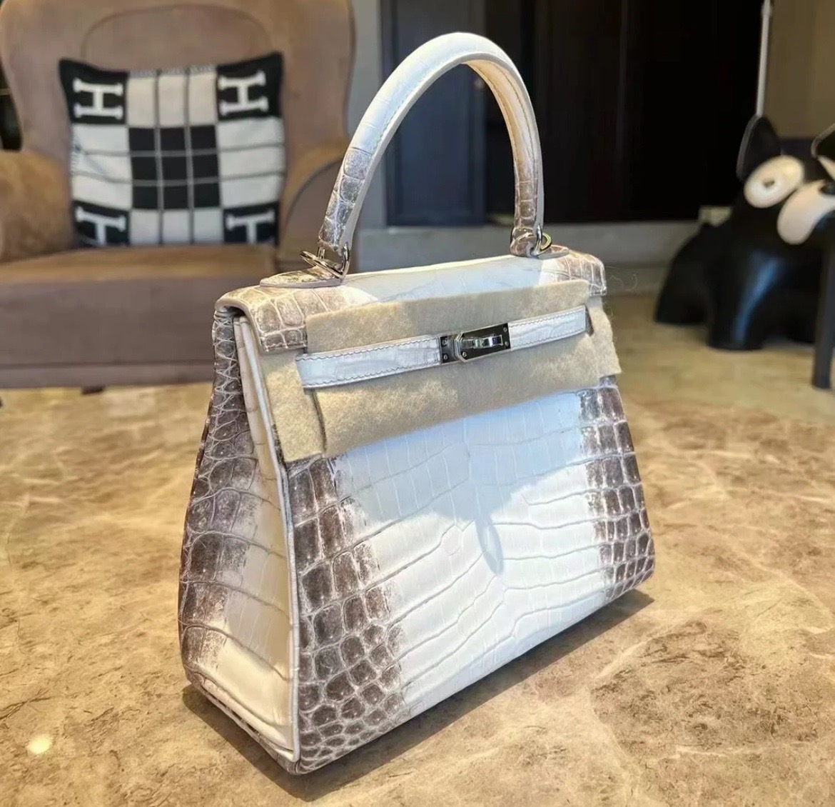 Crocodile skin Himalayan  25-28cm Sellier