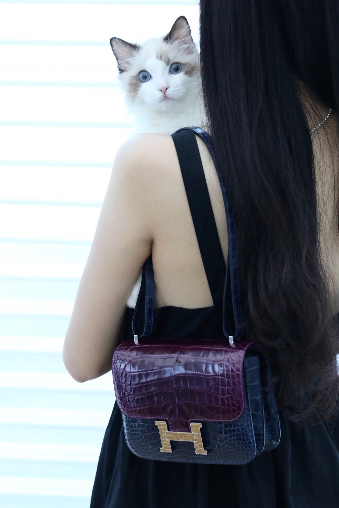 Crocodile skin Constance color blocking 19-24cm