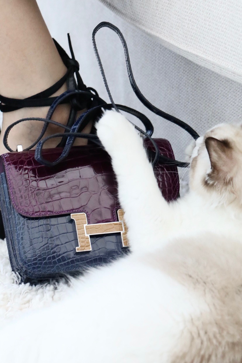 Crocodile skin Constance color blocking 19-24cm