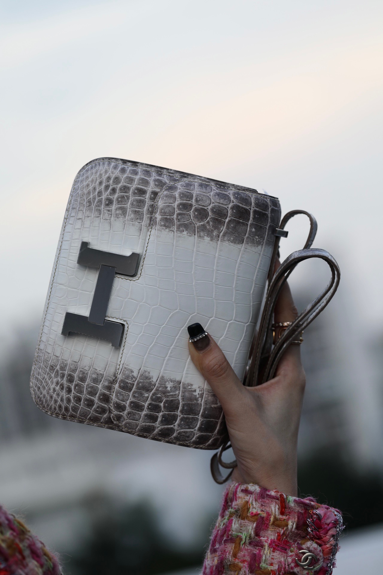 Crocodile skin Constance Himalayas 19-24cm