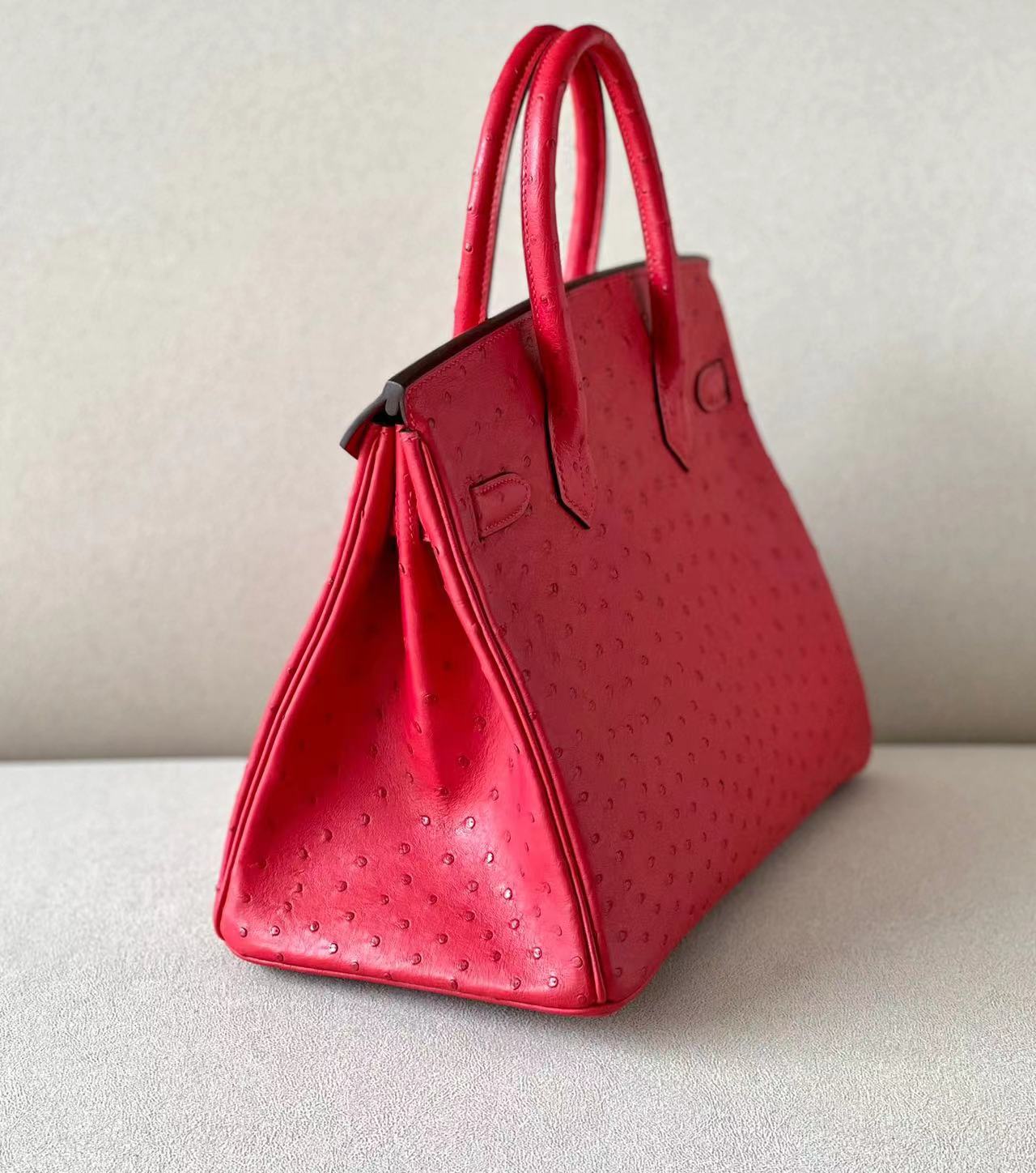 Ostrich skin #S3 Rouge coeur Birkin 25-35cm