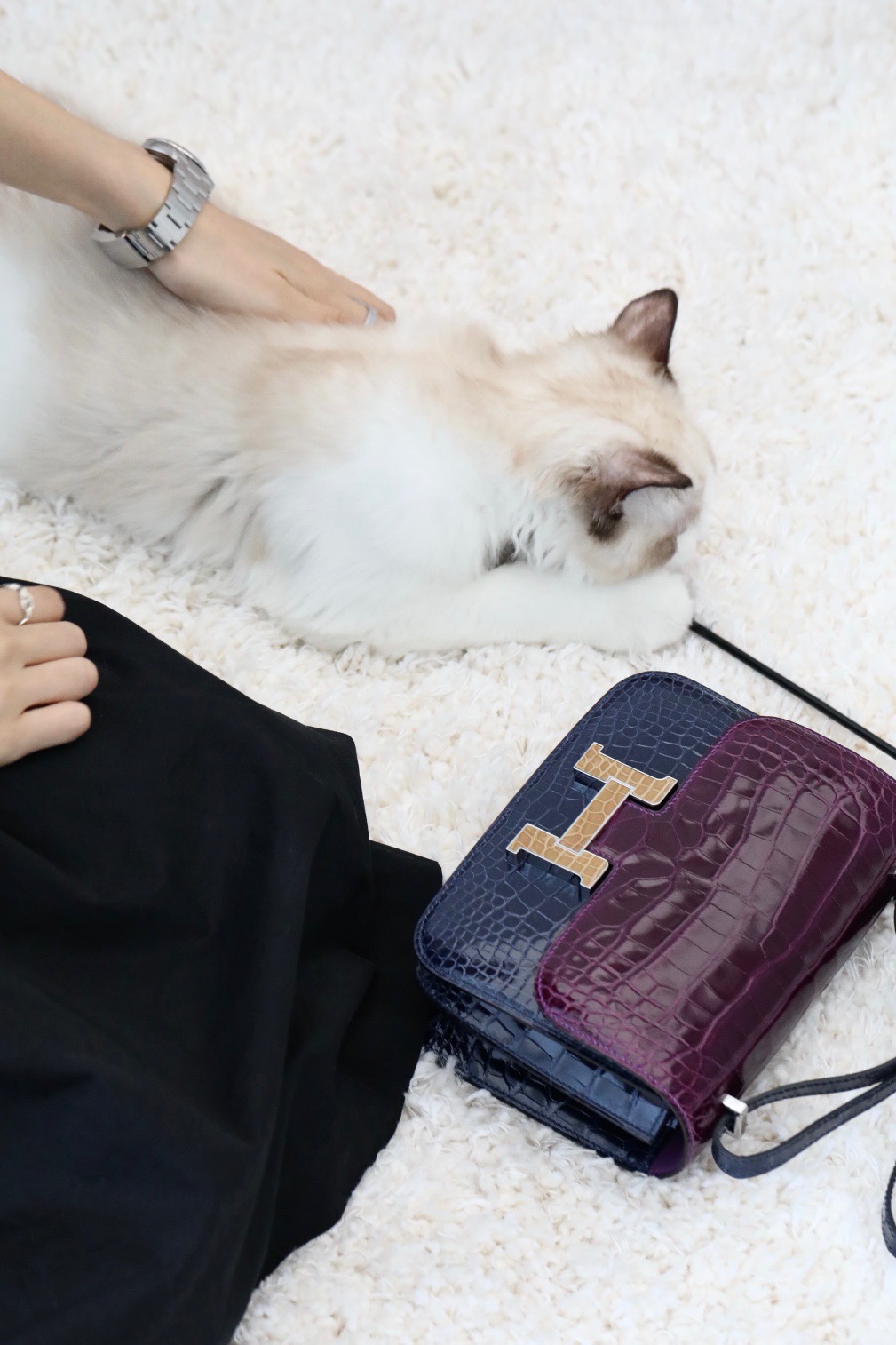 Crocodile skin Constance color blocking 19-24cm