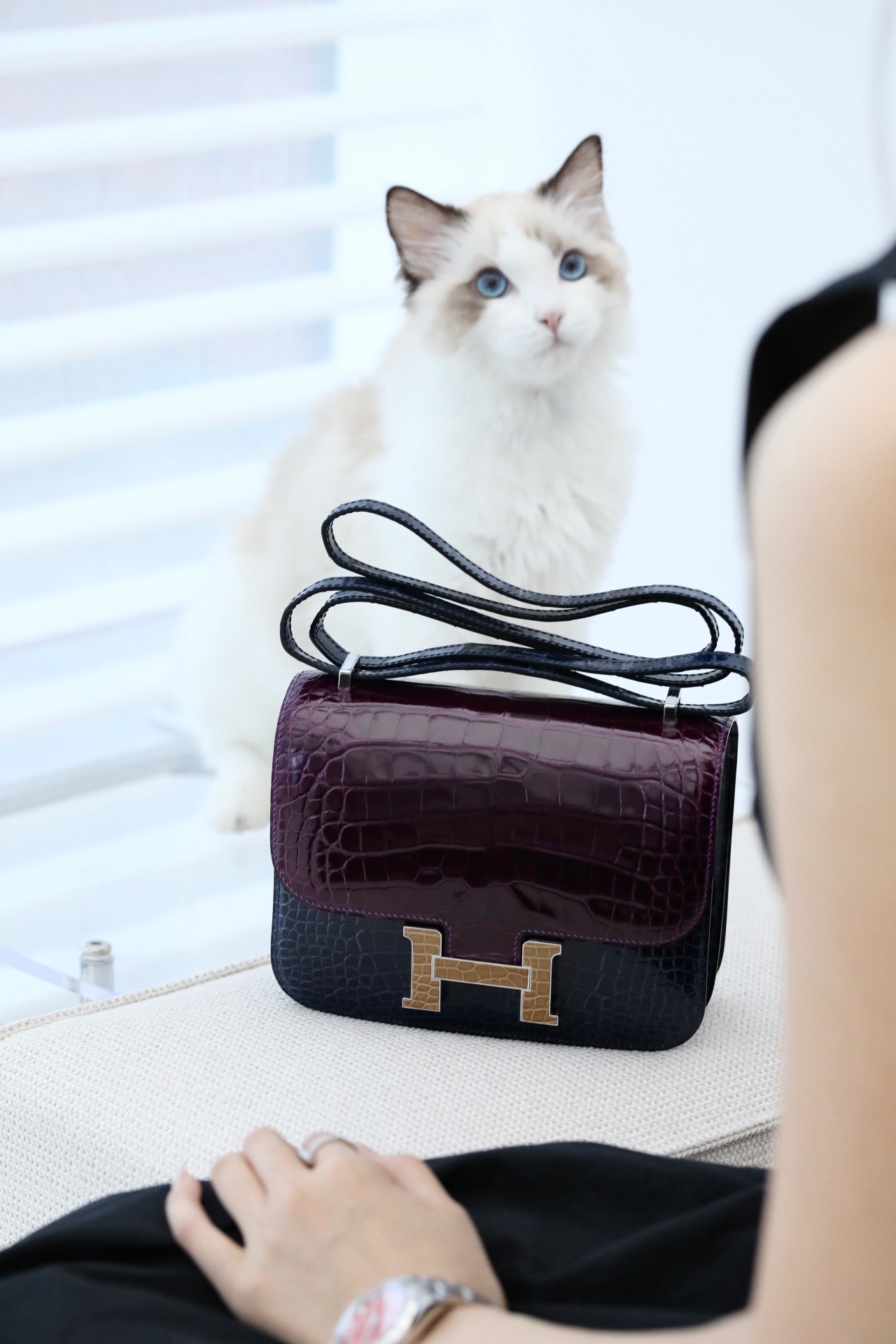 Crocodile skin Constance color blocking 19-24cm