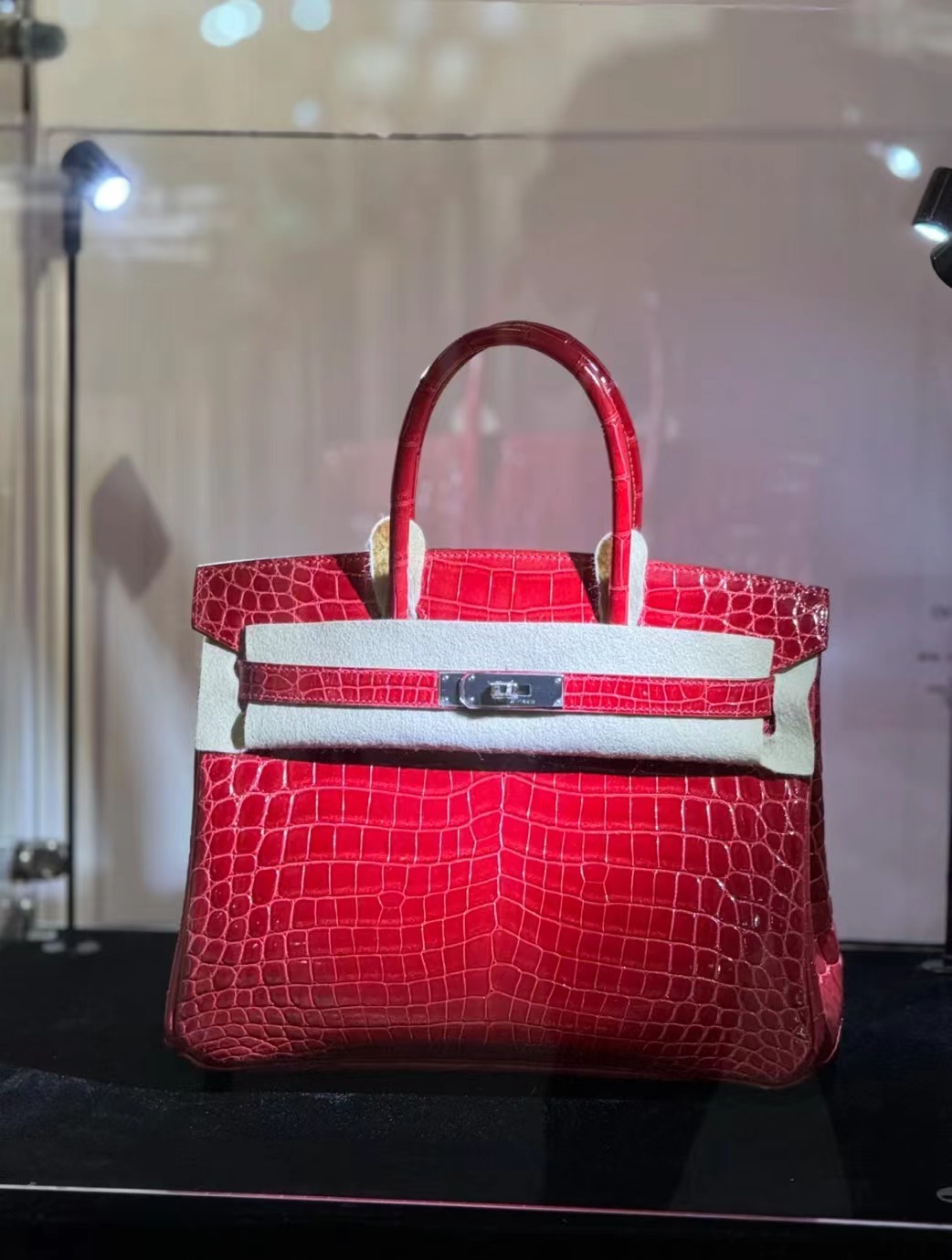 Crocodile leather #95 Braise Birkin 25-30cm