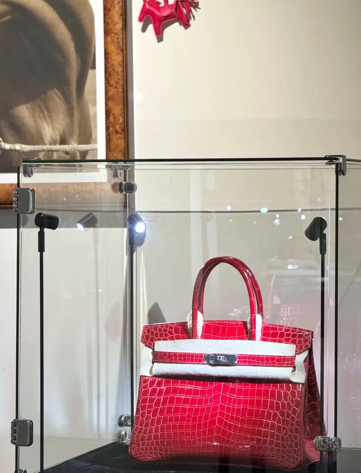 Crocodile leather #95 Braise Birkin 25-30cm