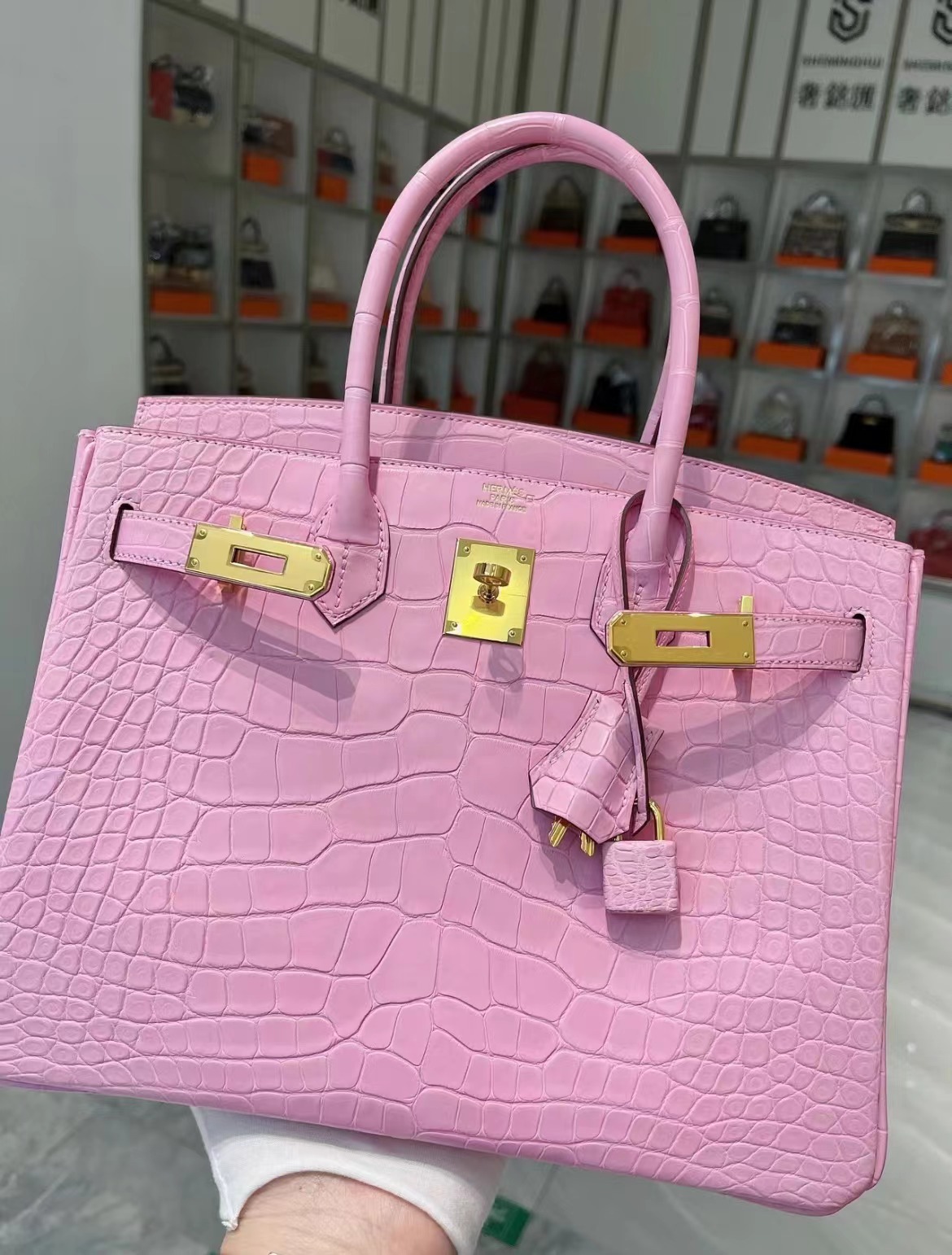 Advanced customization Birkin 25-30 crocodile skin