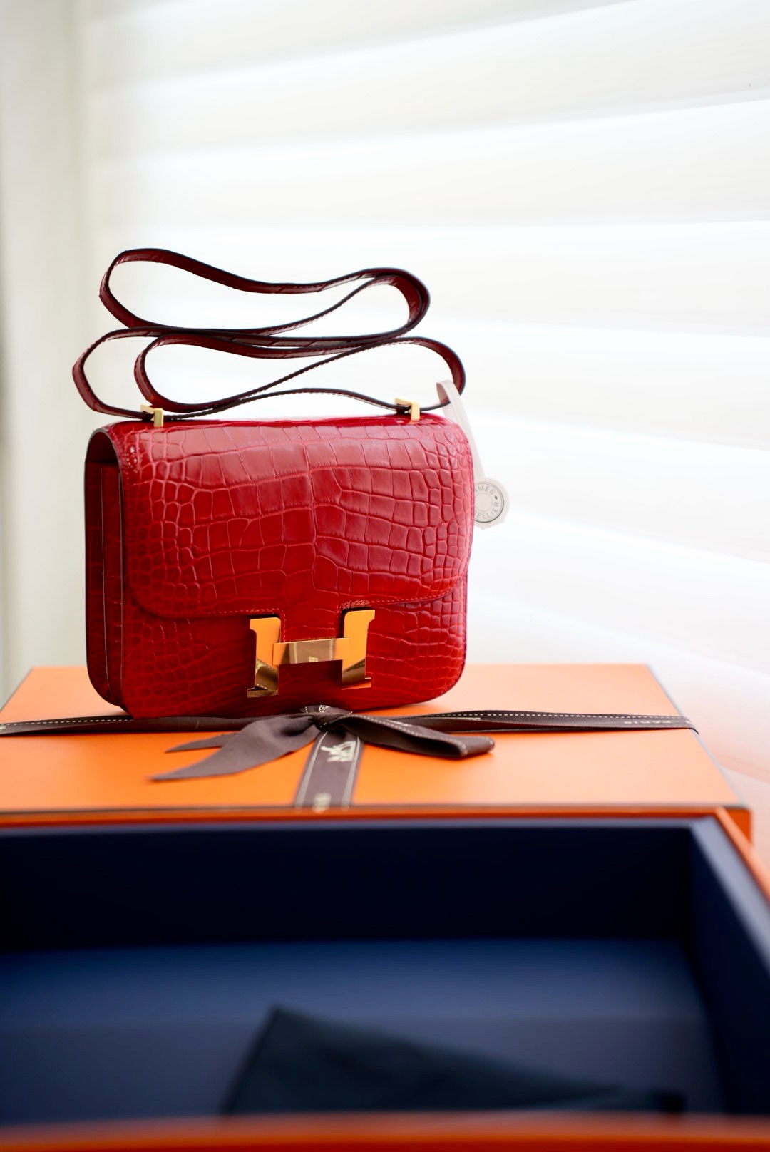 Crocodile skin Constance #95 Braise 19-24cm