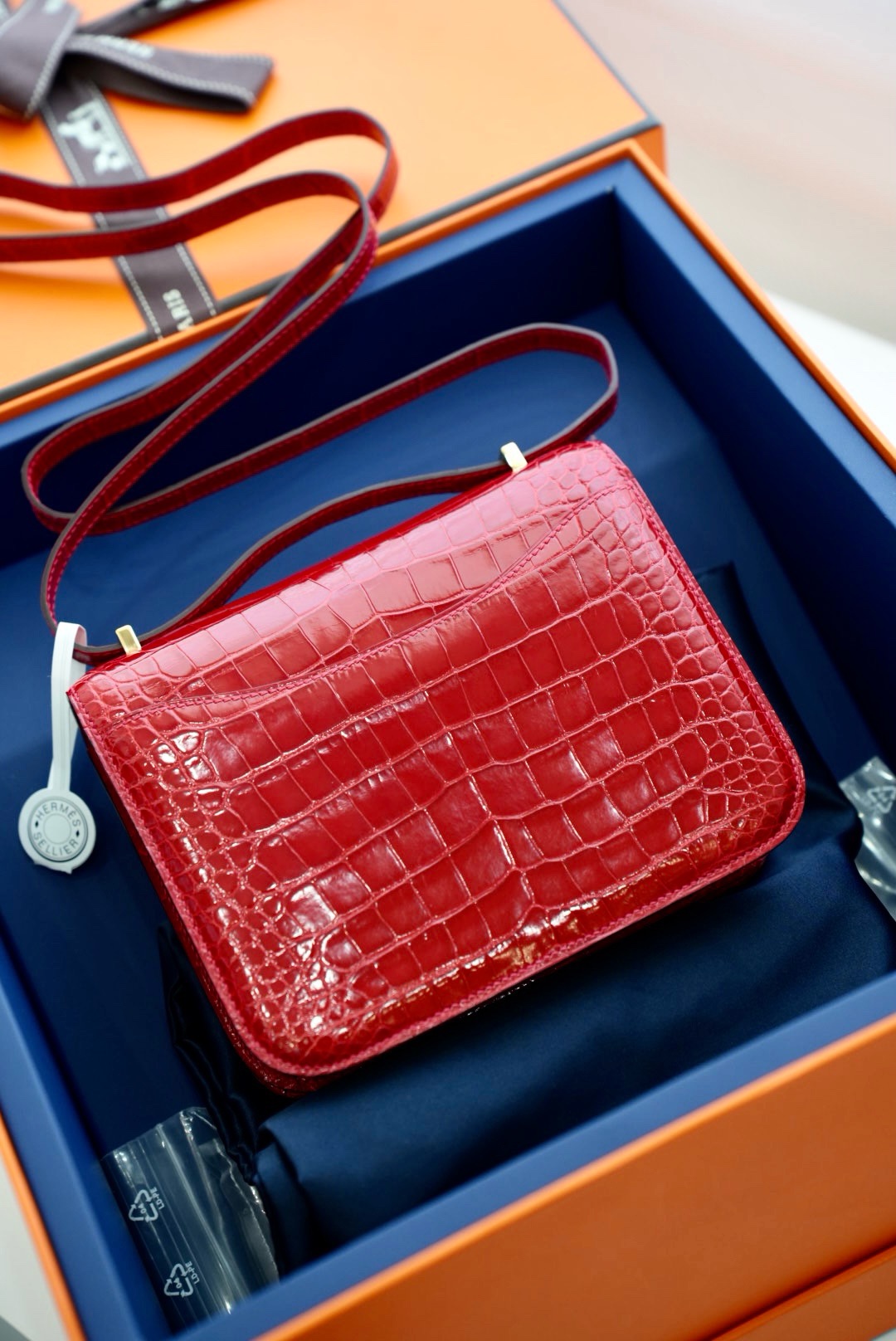 Crocodile skin Constance #95 Braise 19-24cm