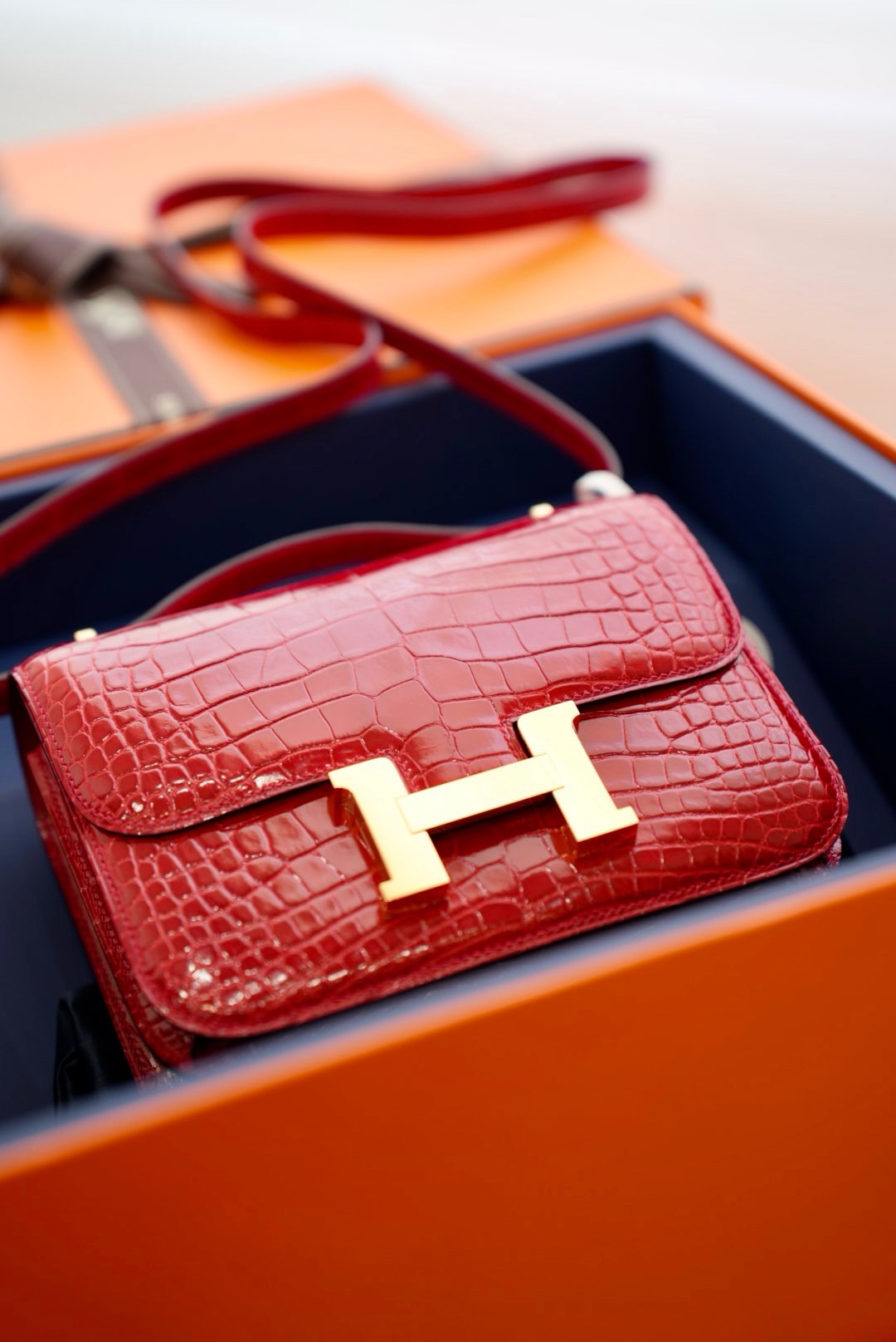 Crocodile skin Constance #95 Braise 19-24cm