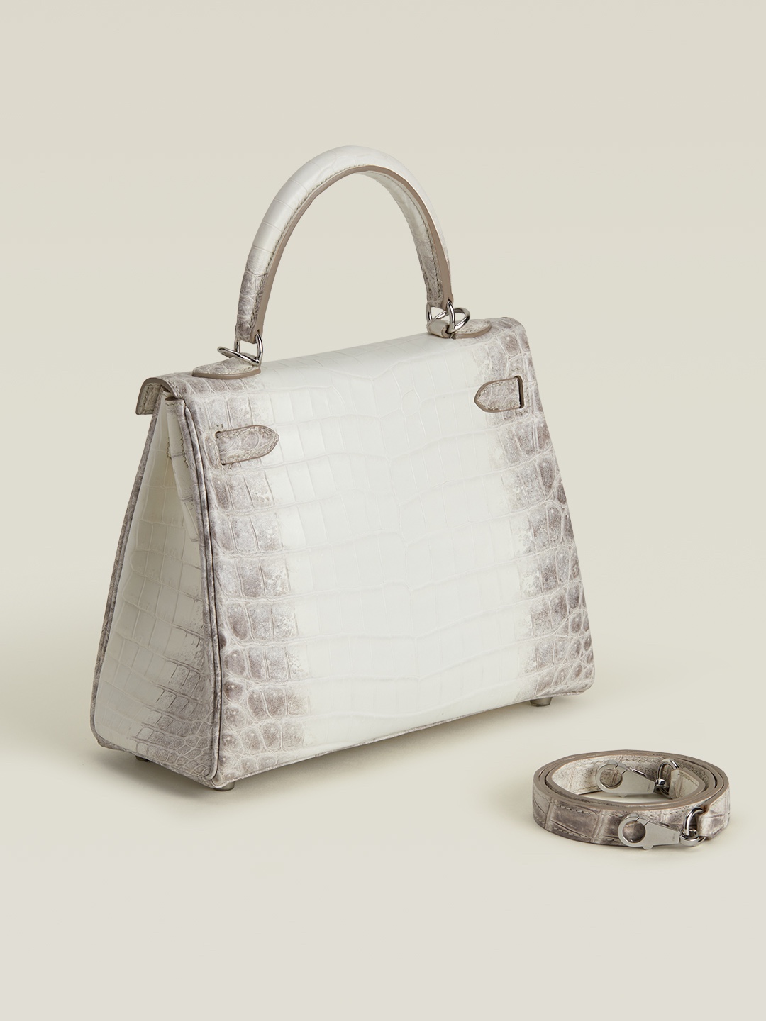 Crocodile skin Himalayan 25-28cm