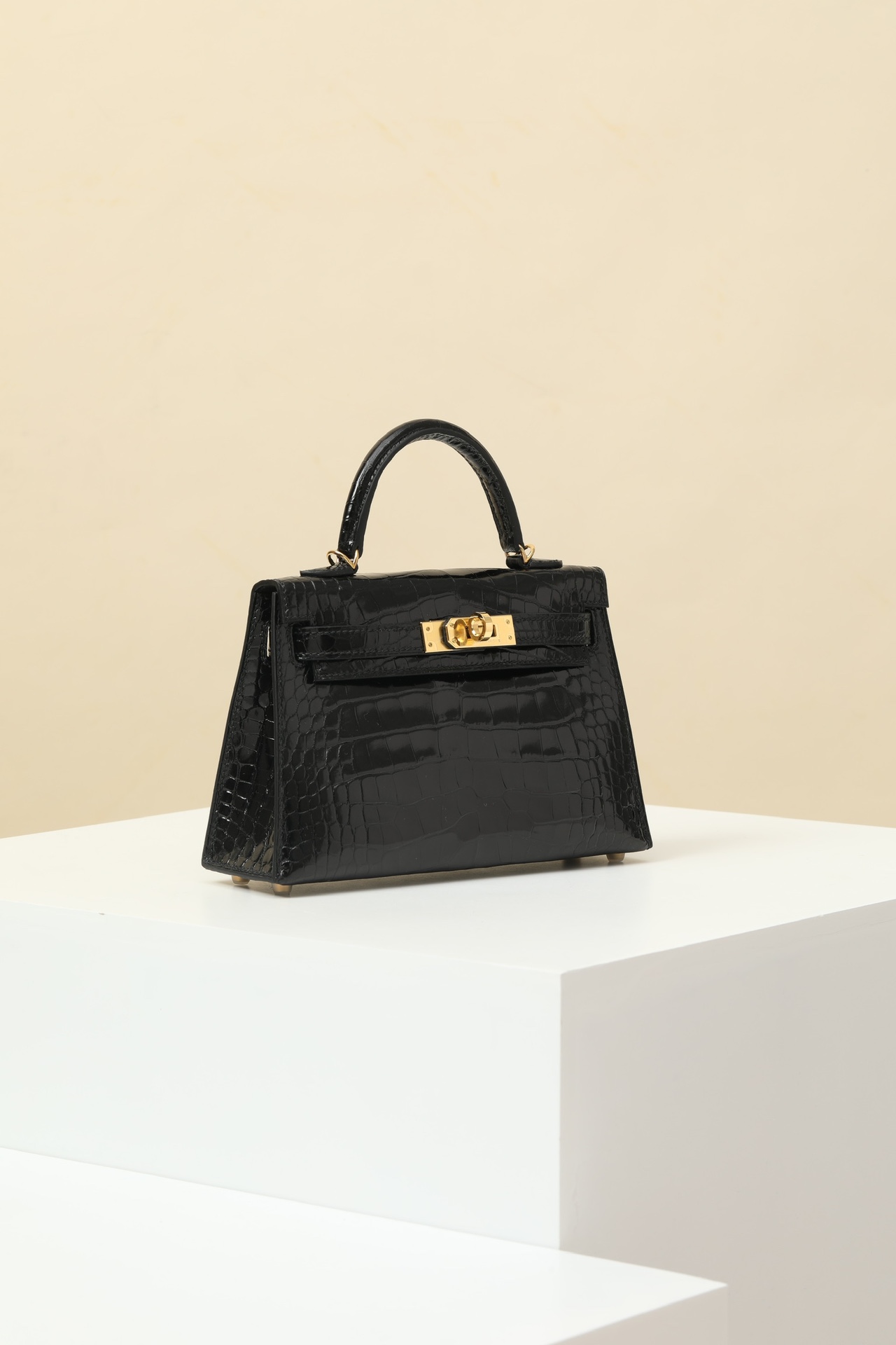 Crocodile skin Mini Kelly #89 Nolr