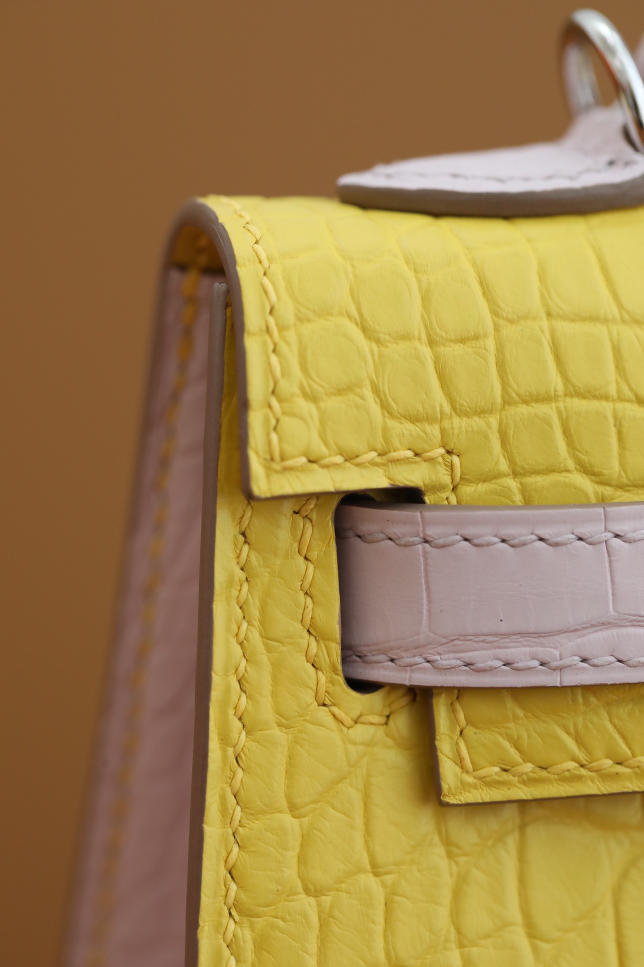 Crocodile skin Mini Kelly color blocking