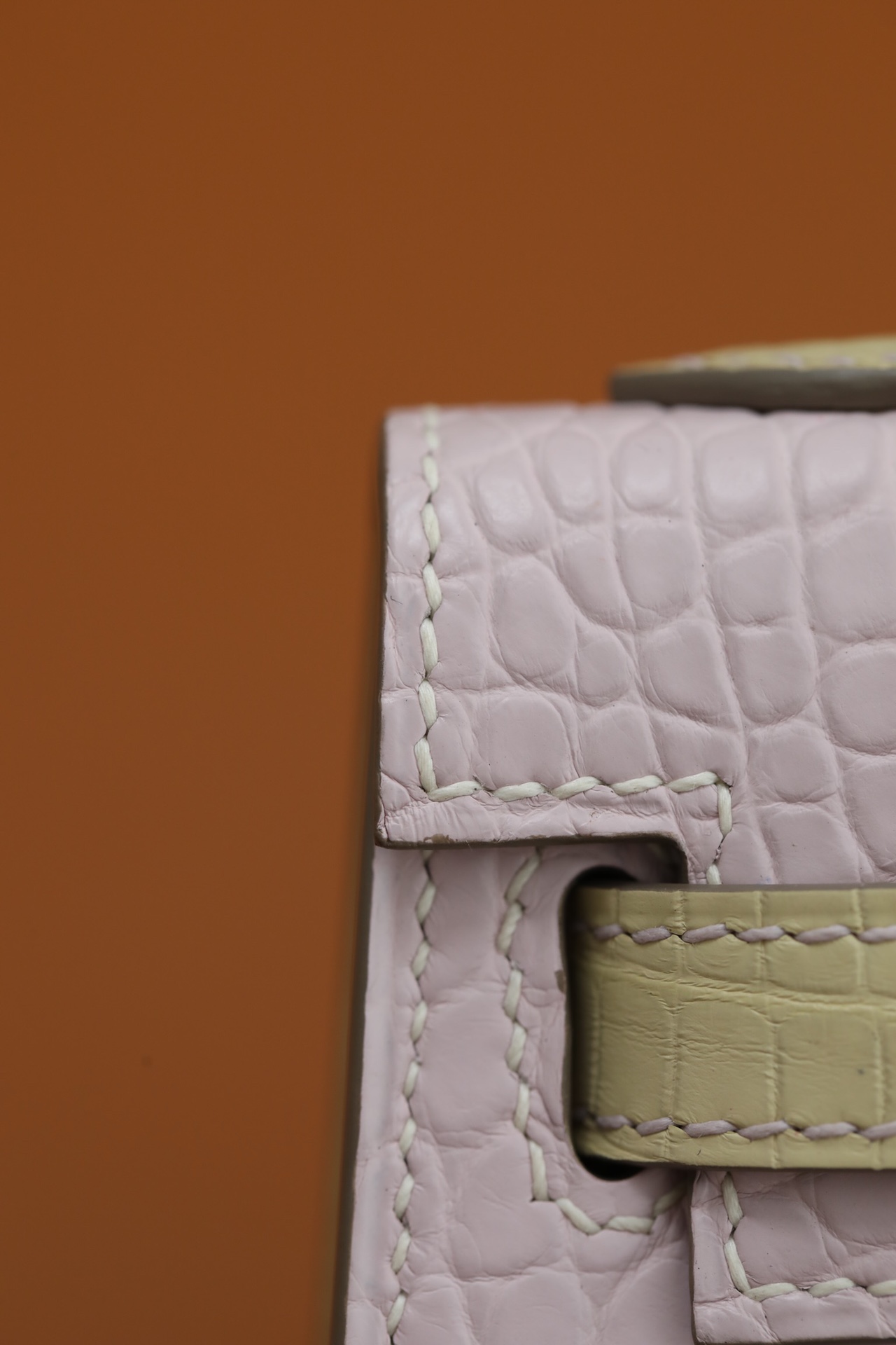 Crocodile skin Mini Kelly color blocking