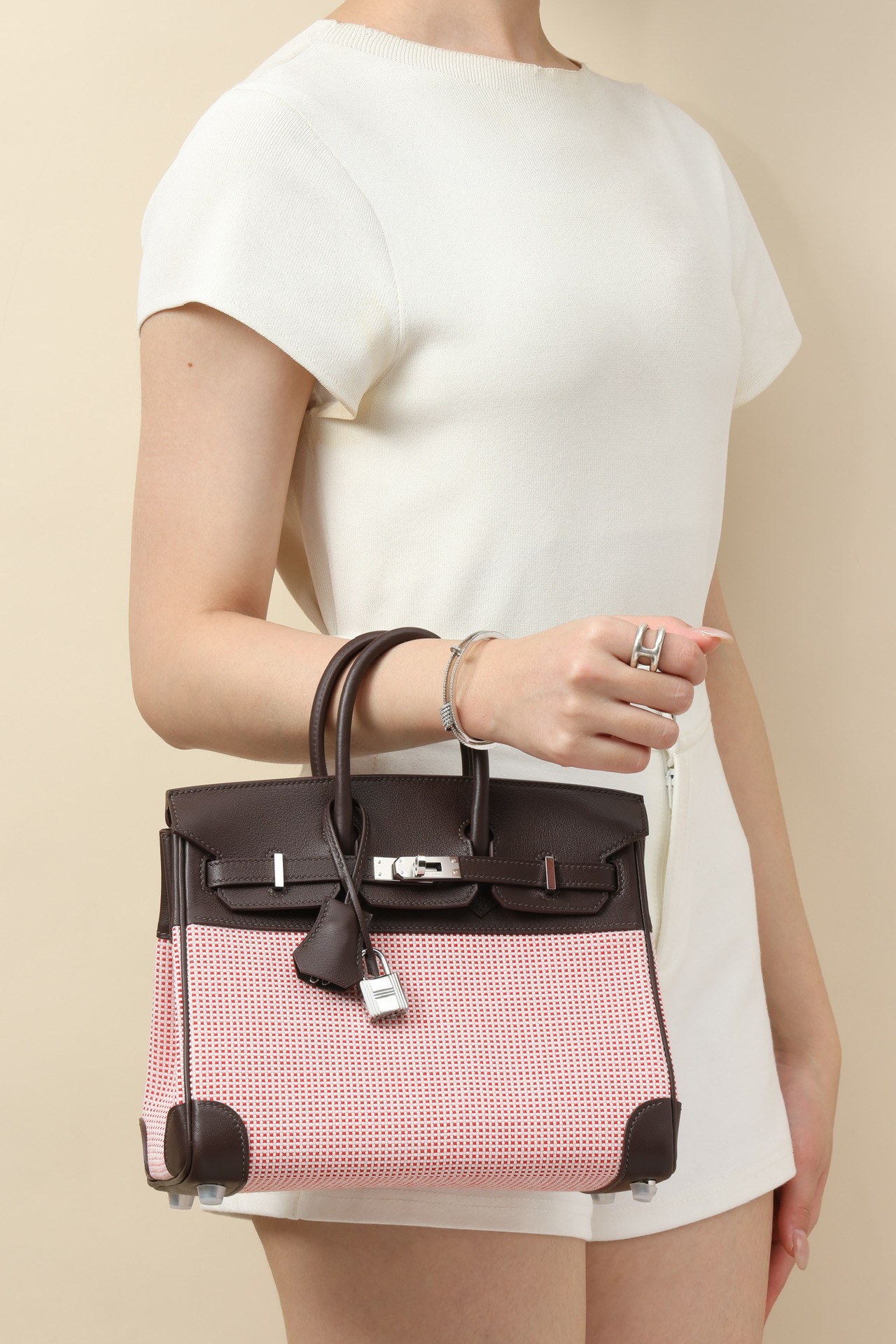 Hermes Cargo color blocking Canvas with Swift