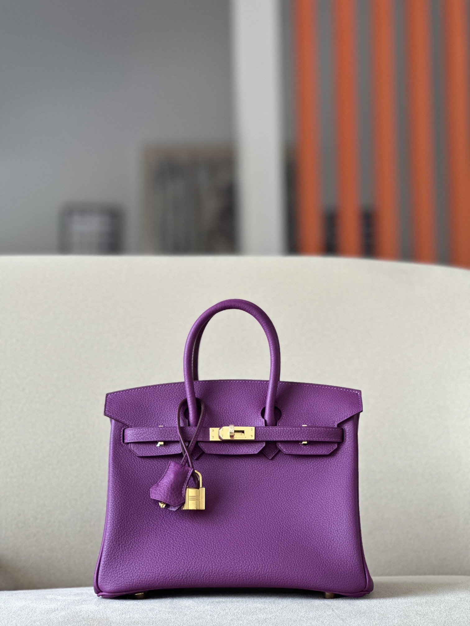 Hermes Birkin #P9 Anemone 25-30 Togo